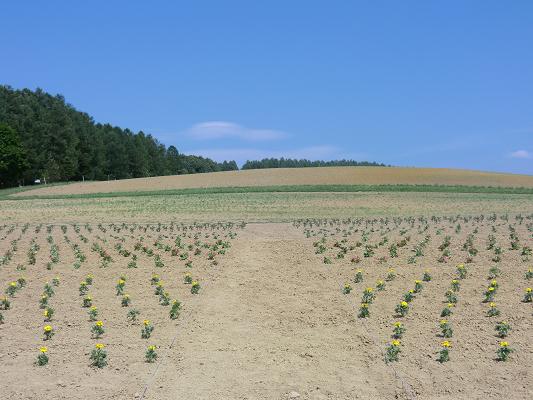 H23.6.21 2.JPG