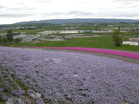 H21.5.25 2.JPG