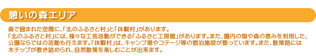 【憩いの森エリア】森で囲まれた空間に、「北のふるさと村」と「休暇村」があります。
「北のふるさと村」には、様々な工芸活動ができる「ふるさと工房館」があります。また、園内の畑や森の恵みを利用した、
公園ならではの活動も行えます。「休暇村」は、キャンプ場やコテージ等の宿泊施設が整っています。また、散策路には
木チップが敷き詰められ、自然散策を楽しむことが出来ます。