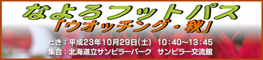 �Ȃ��t�b�g�p�X�u�E�H�b�`���O�E�H�v10��29���J�ÁI