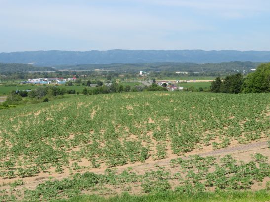 R7.7.14 4.JPG