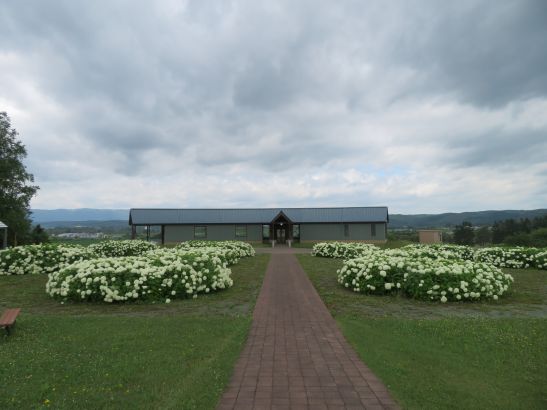 R7.7.21 1.JPG