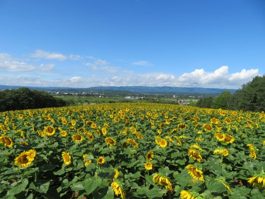 R7.8.10 1.JPG