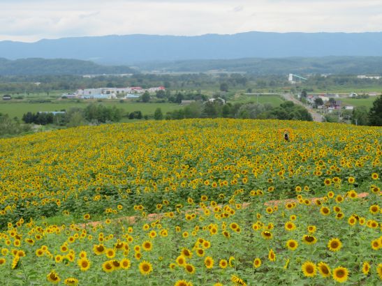 R7.8.7 1.JPG