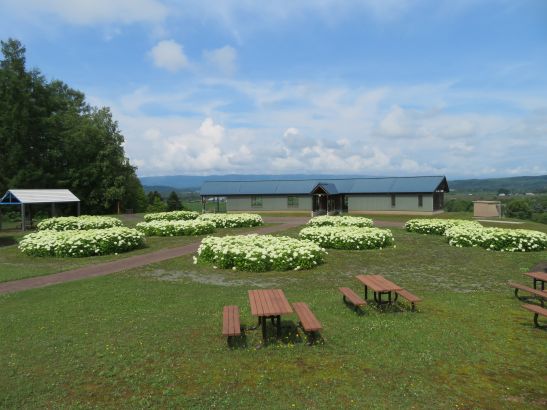 R8.7.13 1.JPG