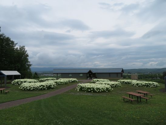 R8.7.18 1.JPG