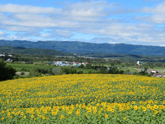 R8.8.11 3.JPG