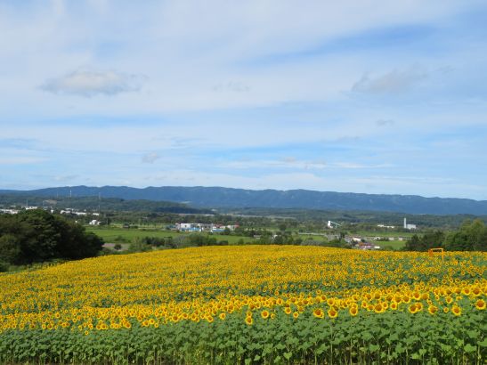 R8.8.15 1.JPG