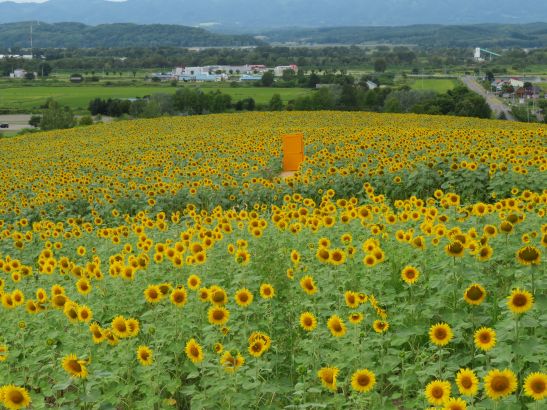 R8.8.18 3.JPG