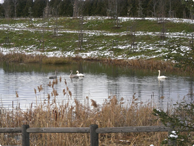 北海道立サンピラーパーク　四季の池
