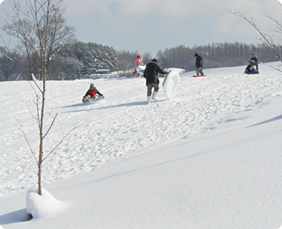 北海道立サンピラーパーク　冬の野外遊び