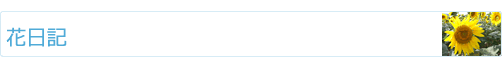 サンピラーパーク　花日記